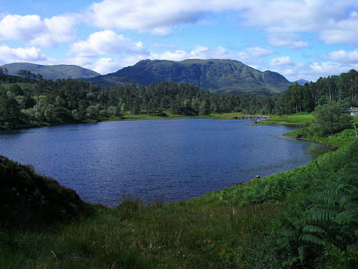 Perhaps Carn Glas Lochdarach behind Loch Affric