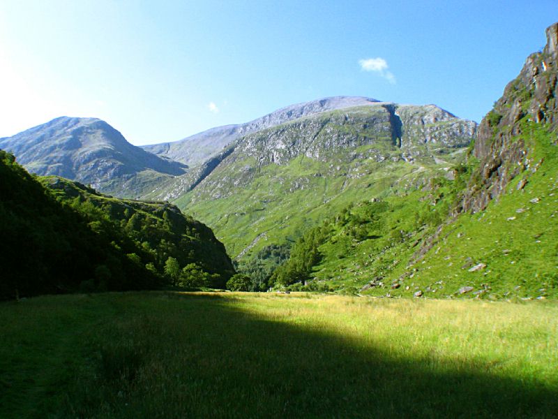 Meadow in Glen Nevis