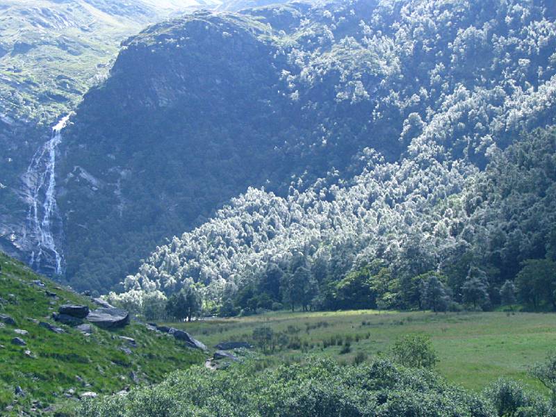 Meadow in upper Glen Nevis